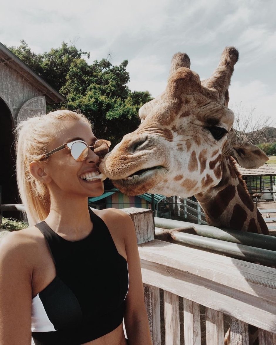 Прикольный лемур