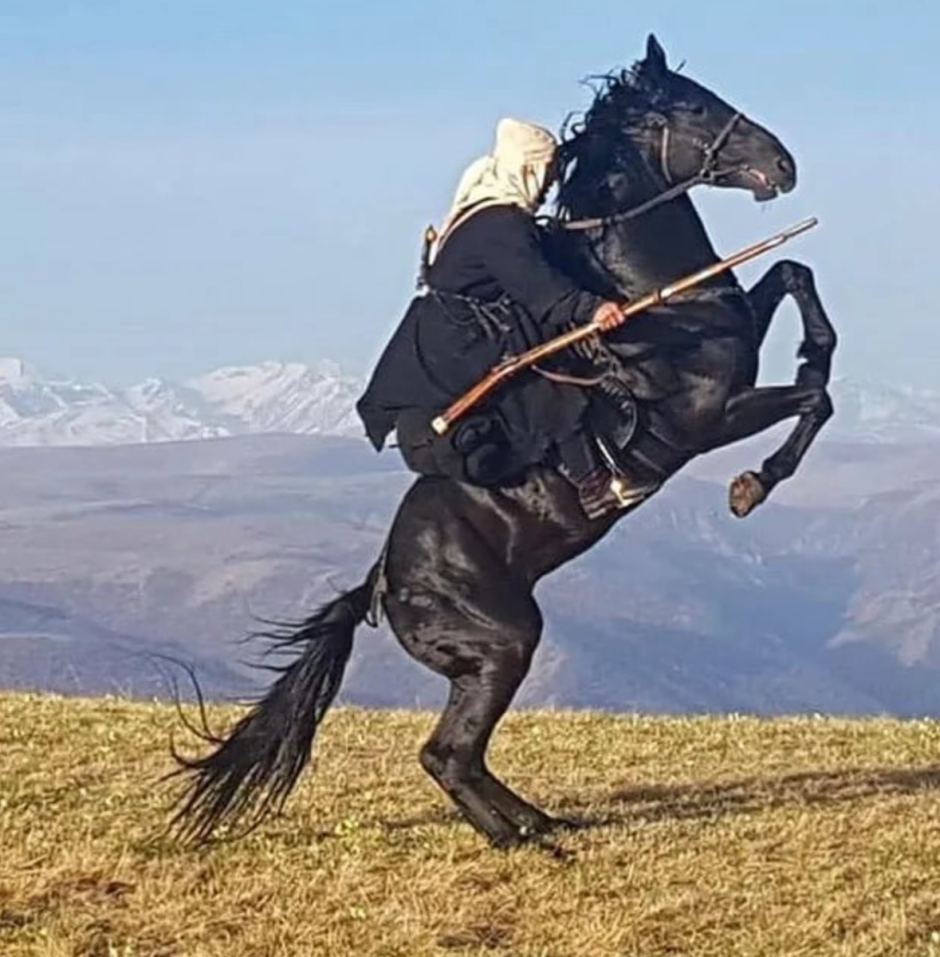 Арабская лошадь в пустыне