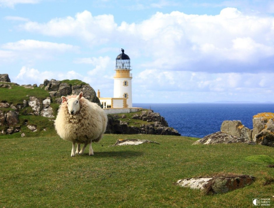 Единорог Шотландия