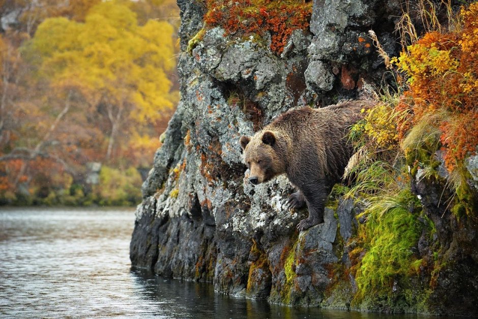 Архипелаг Саманг