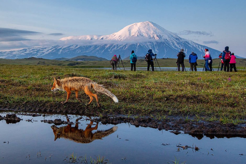Ключевской природный парк Дальний Восток