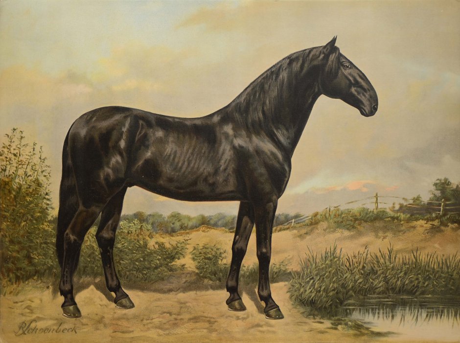 Генрих Сперлинг (1844-1924)
