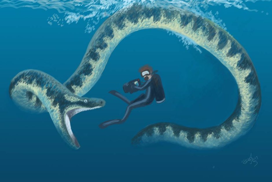 Palaeophis змея