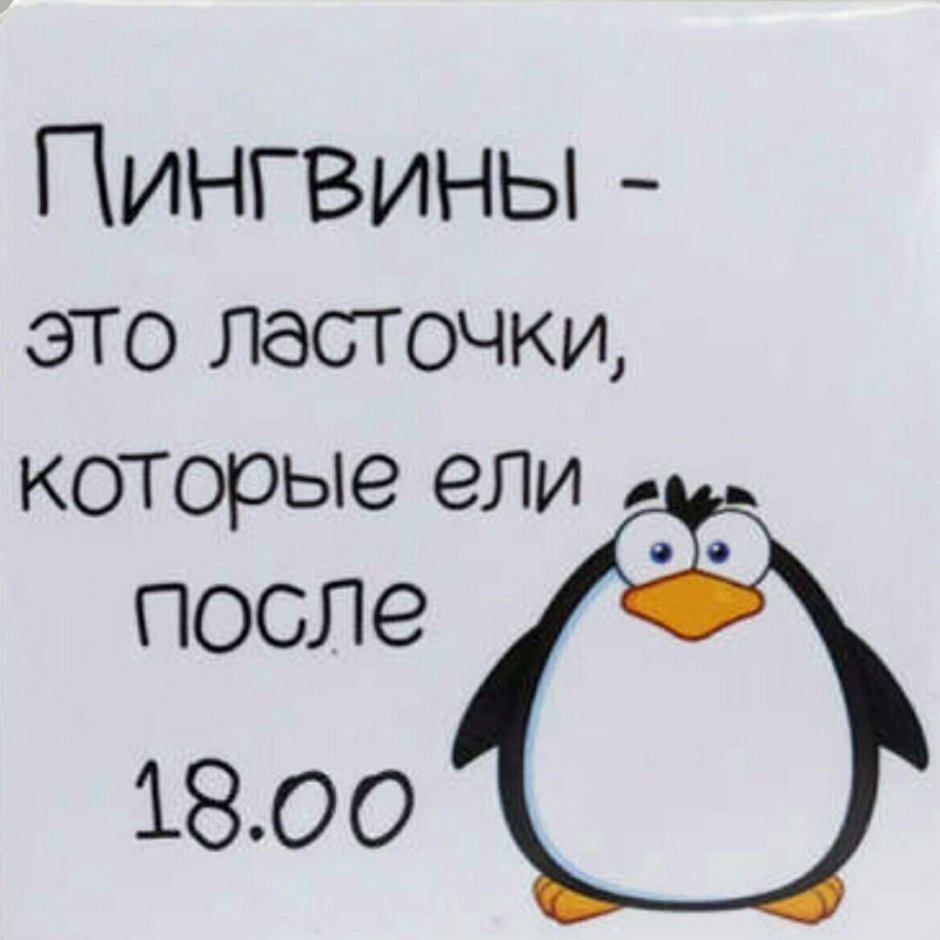 Магнитики с прикольными надписями