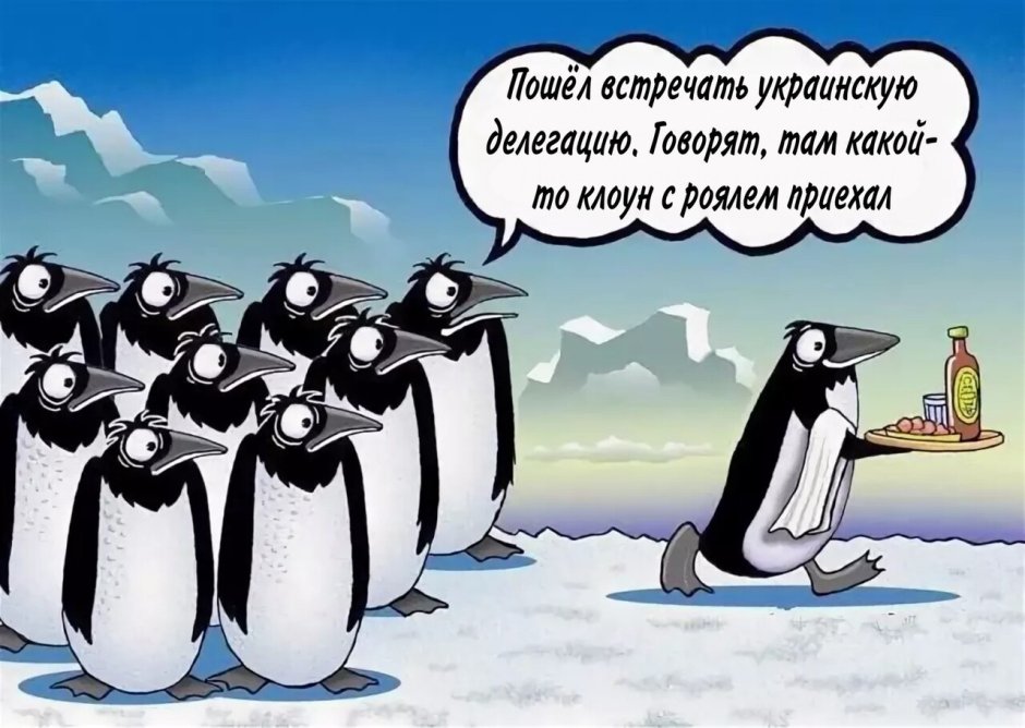 Шутки про пингвинов