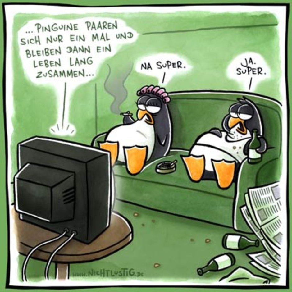Пингвин юмор