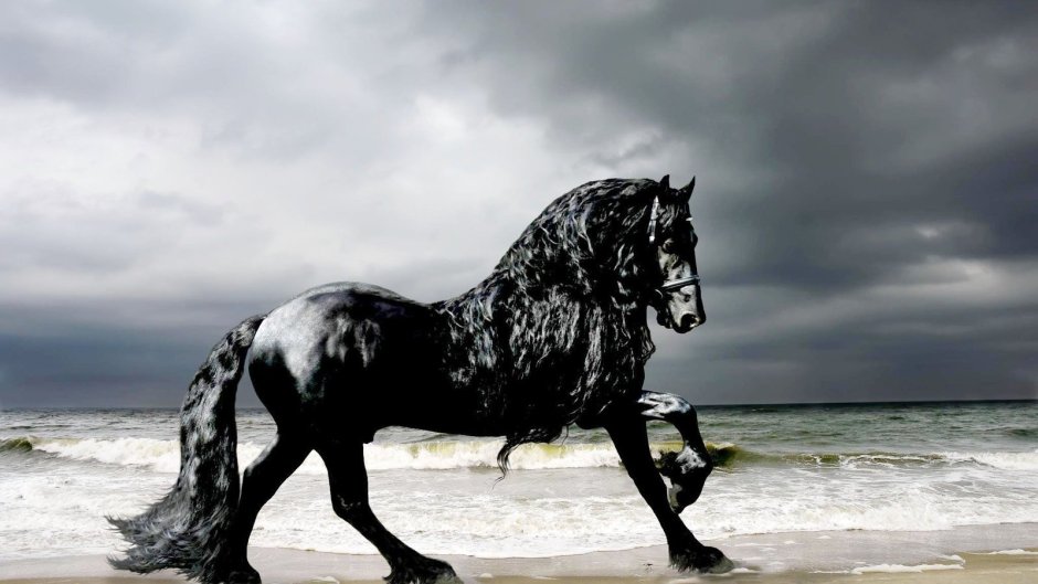 Девушка из Black Horse