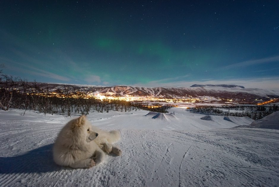 Зимняя тундра Север Камчатки