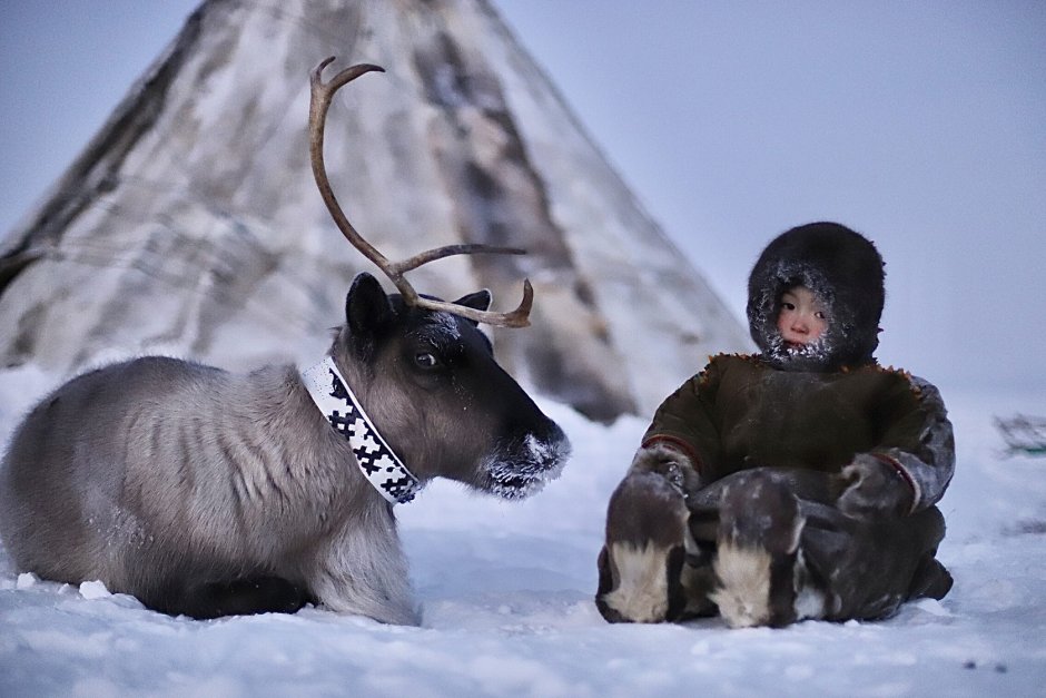 Чукотский автономный округ природа