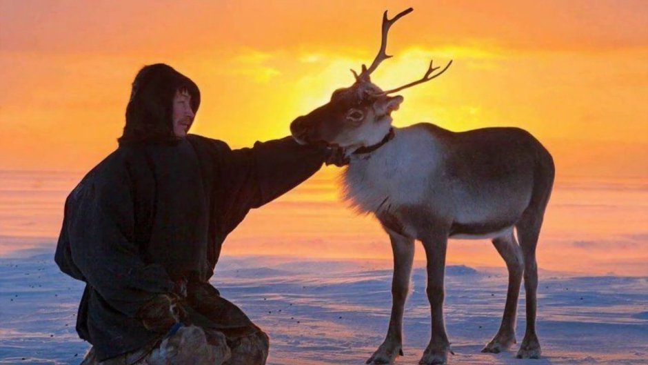 Сергей Анисимов Ямал