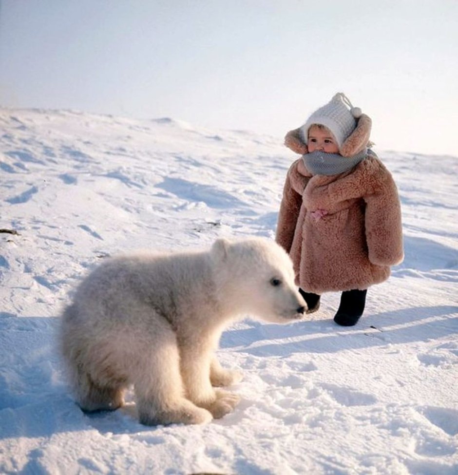 Тундровые ненцы