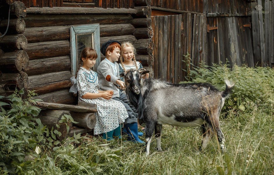 Бабушка в деревне