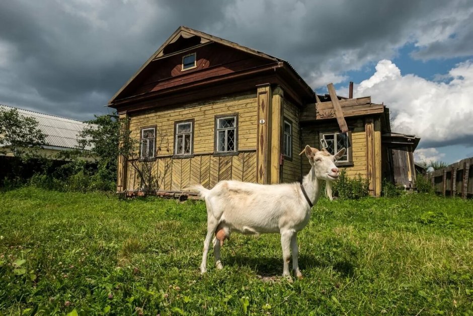 Сергей Есенин деревенская Избенка