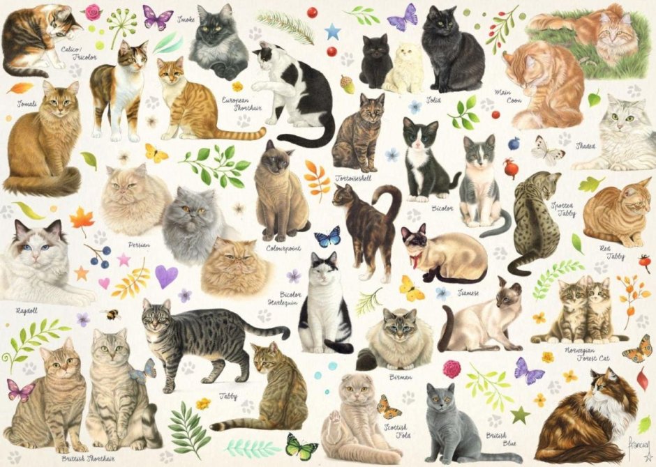 Котик собачка гачи