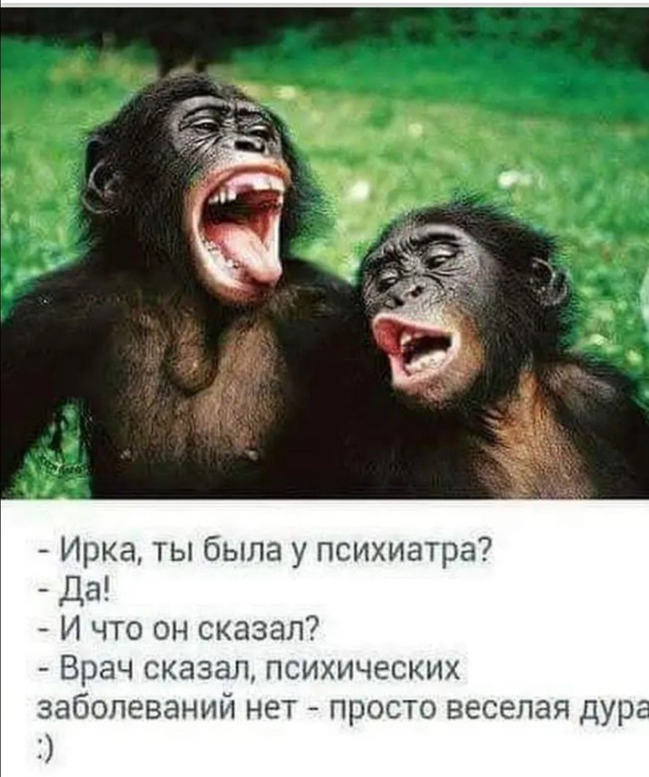 Обезьяна ржет