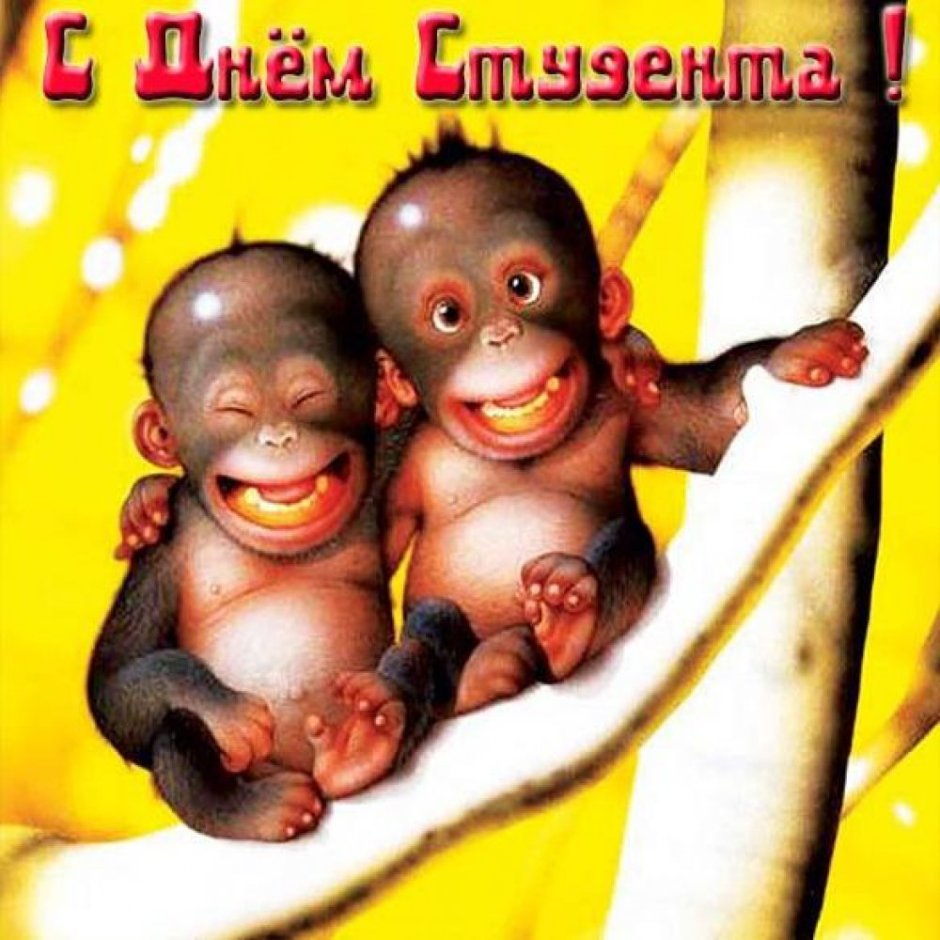 Ирка где мы