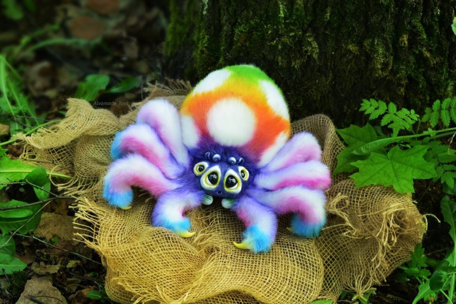 Паук милые существа