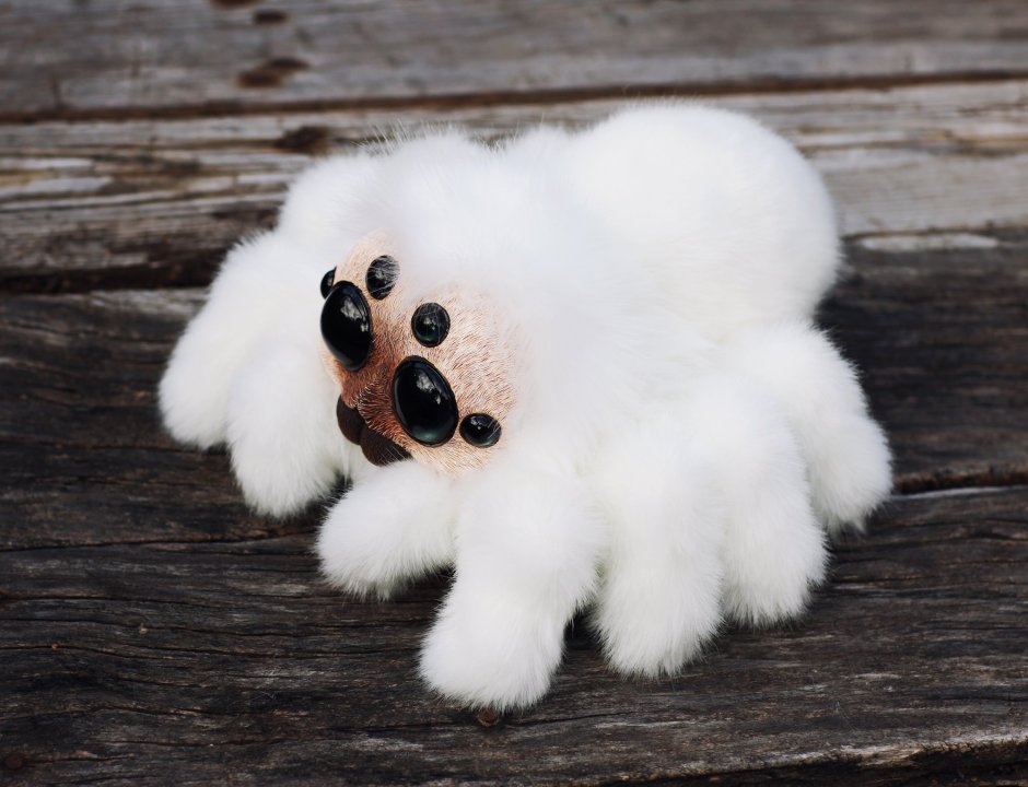 Милые пушистые пауки