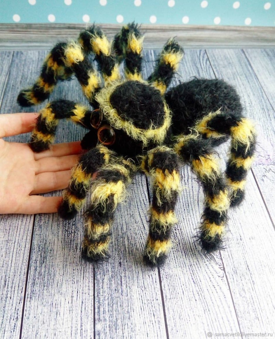 Полосатый паук птицеед