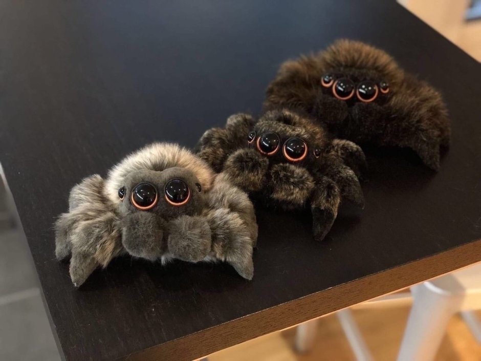 Плюшевый паучок Лукас