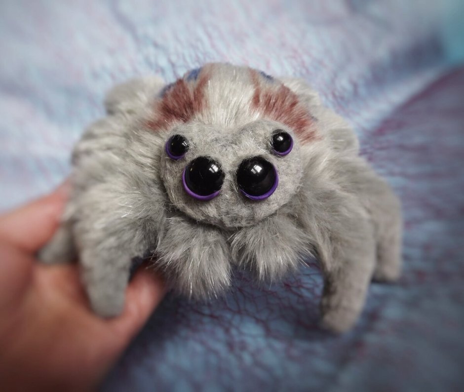 Самый милый паук