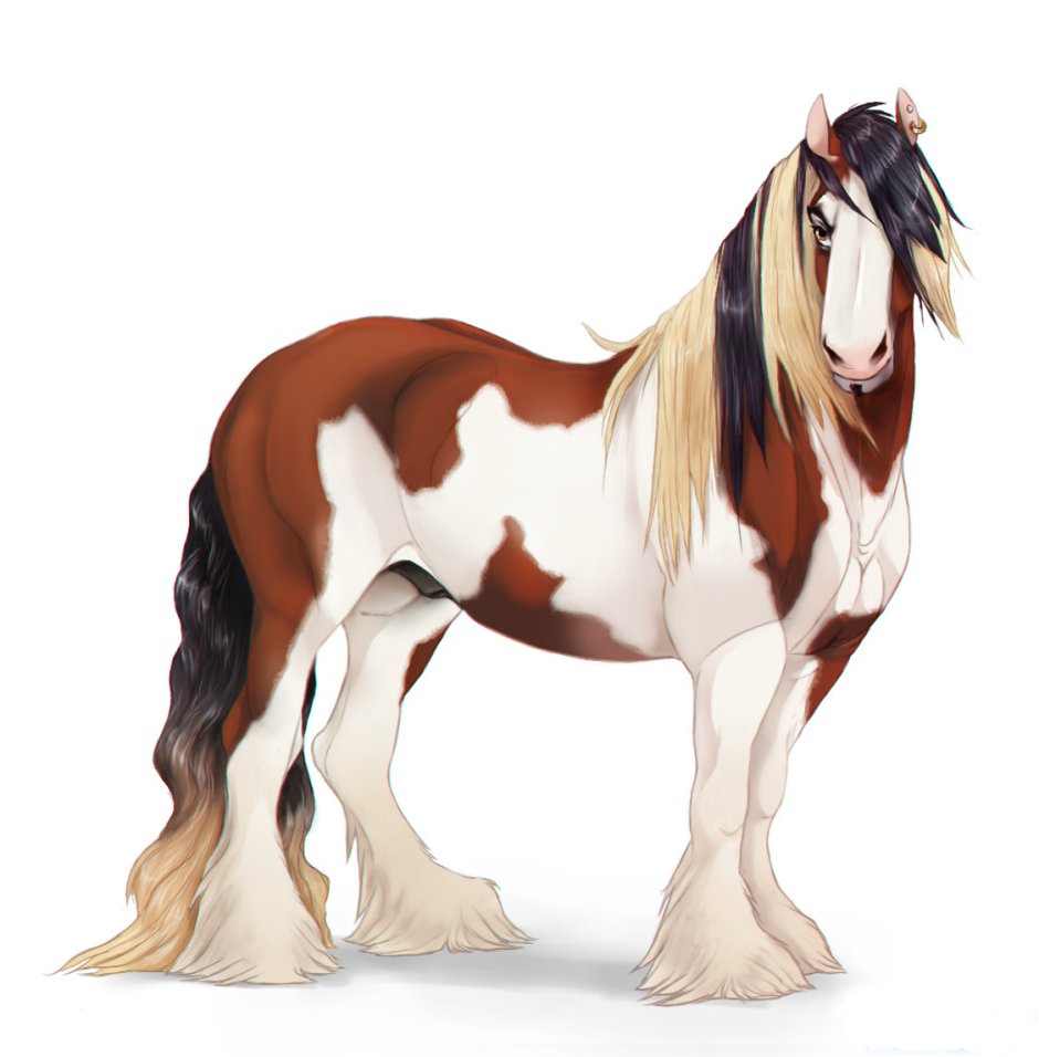 Лайны лошади девианарт CRYSTALUNIICORN