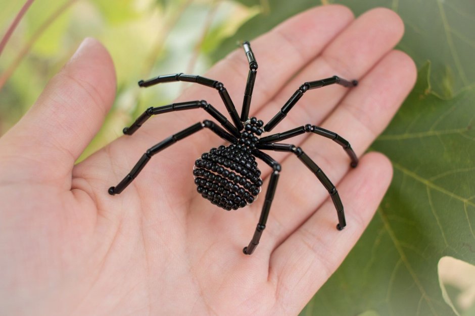 Маленький черный паук