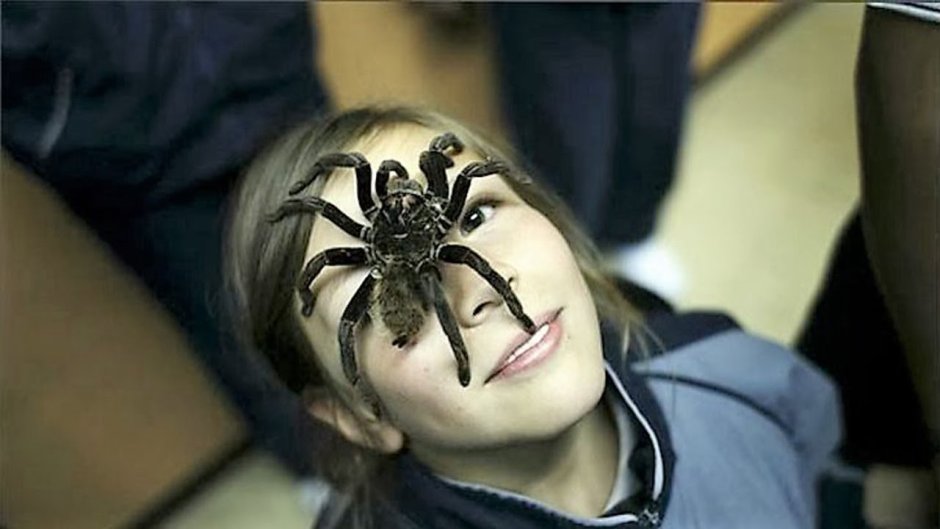 Железный паук Marvel's Spider man