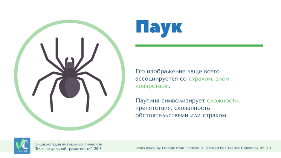 Австралийский лейкопаутинный паук