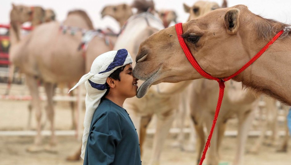 Зоопарк al Ain Zoo Абу Даби
