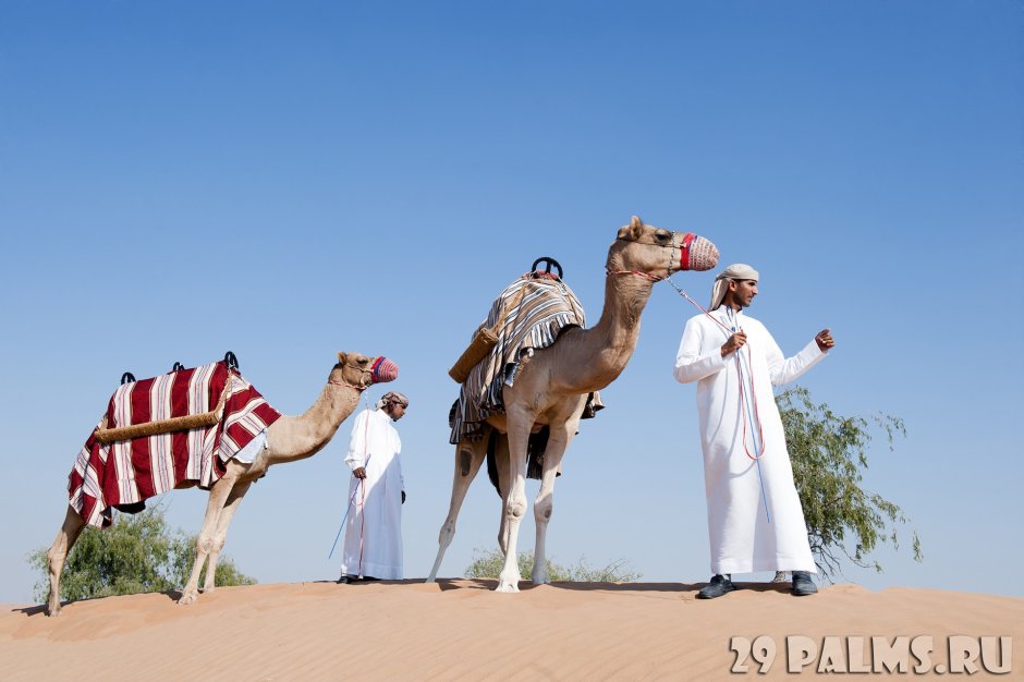 Sony World Photography Awards 2020 победители