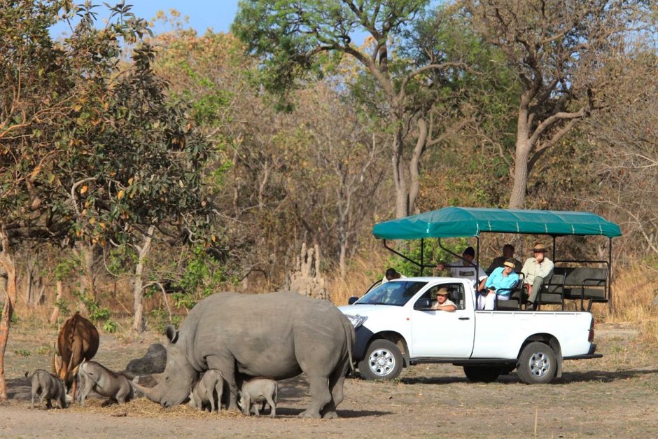 Mfou Wildlife Reserve .Камерун