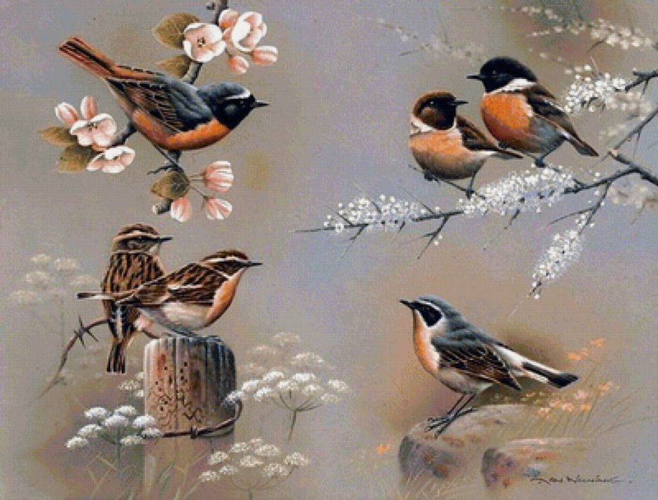 Художник Jan Weenink мир птиц