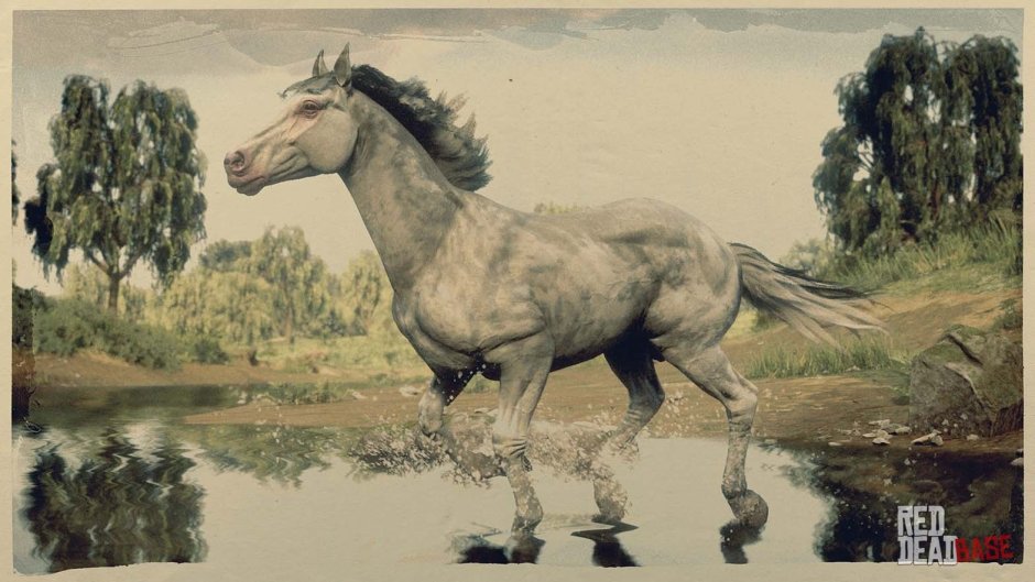 Нокота лошадь Red Dead Redemption 2