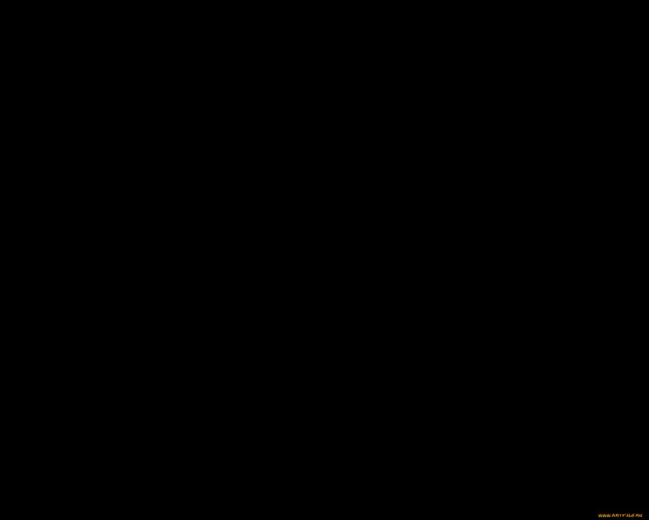 Лев самка
