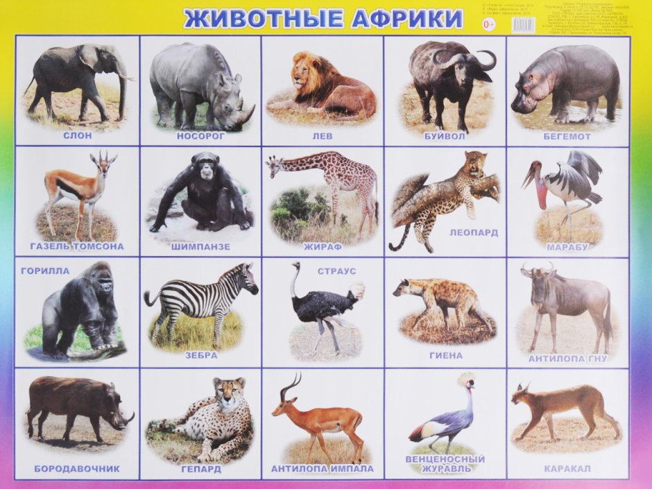 Список животных Африки
