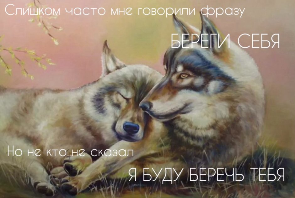 Пара Волков арт
