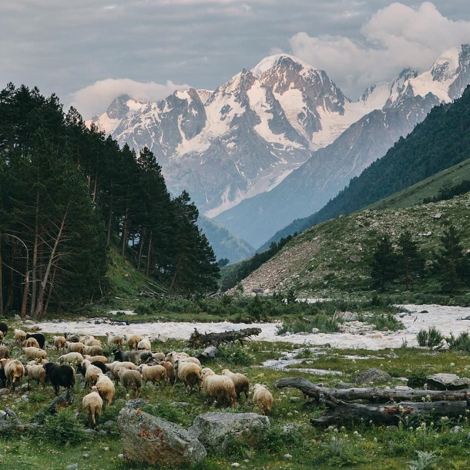Кавказ Кабардино Балкария