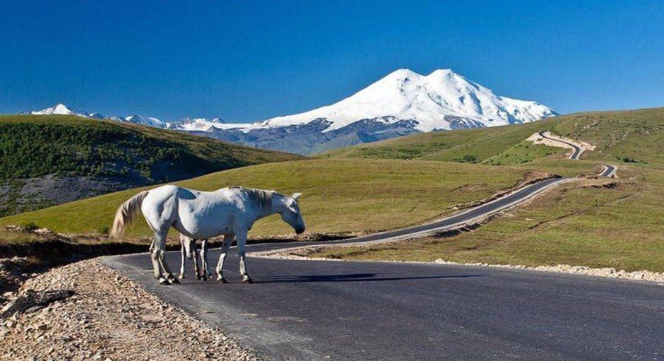 Эльбрус Кабардино-Балкария + лошадь