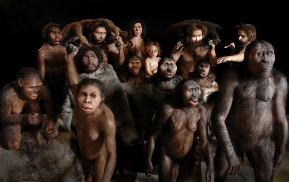 Homo sapiens человек разумный фильм 2005