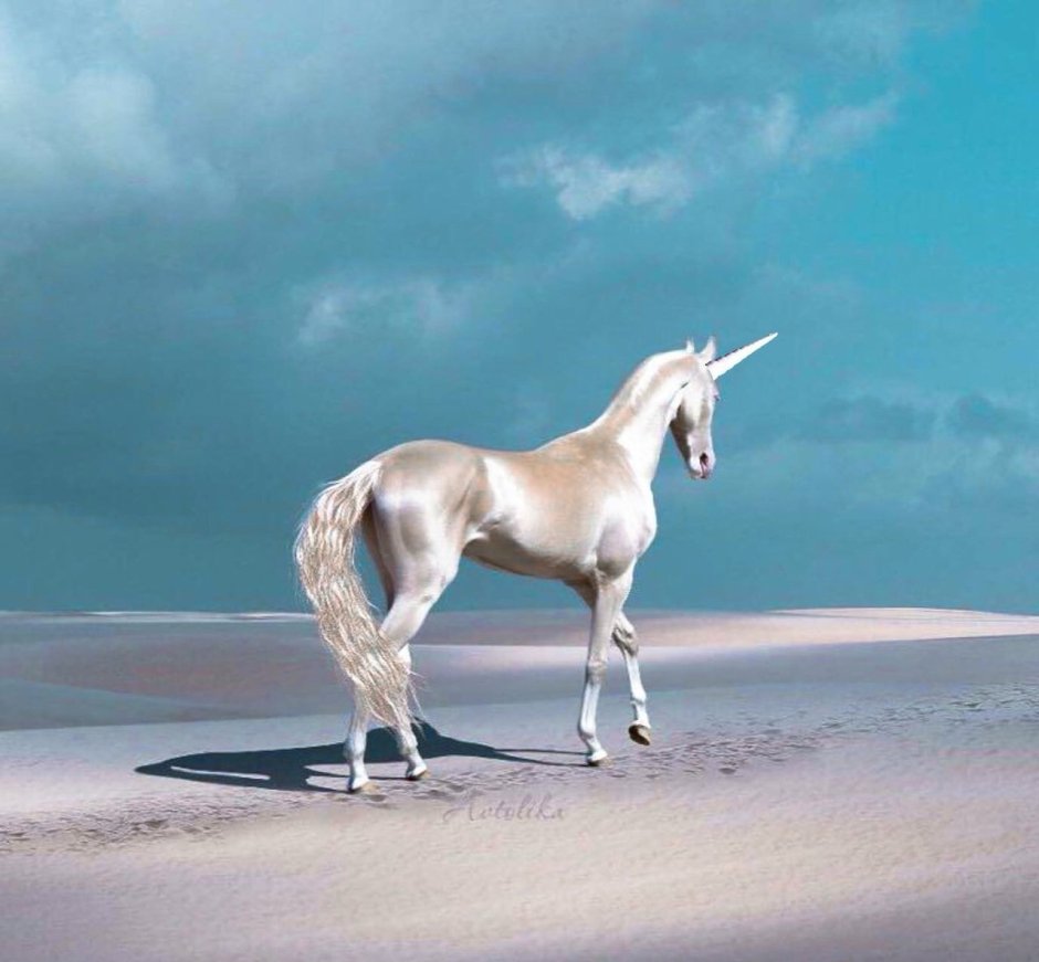 Изабелловая масть ахалтекинец