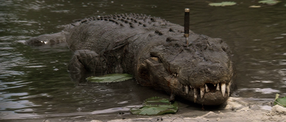 Крокодил Густав Бурунди