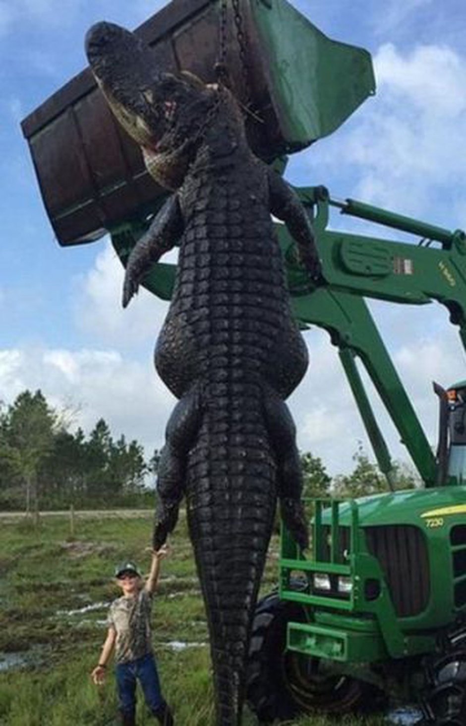 Крокодил гребнистый инфографика