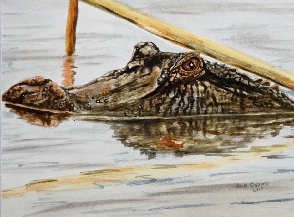 Мила крокодила