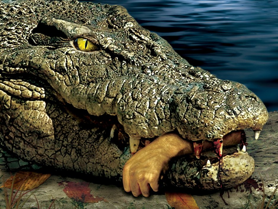 Крокодил акварелью