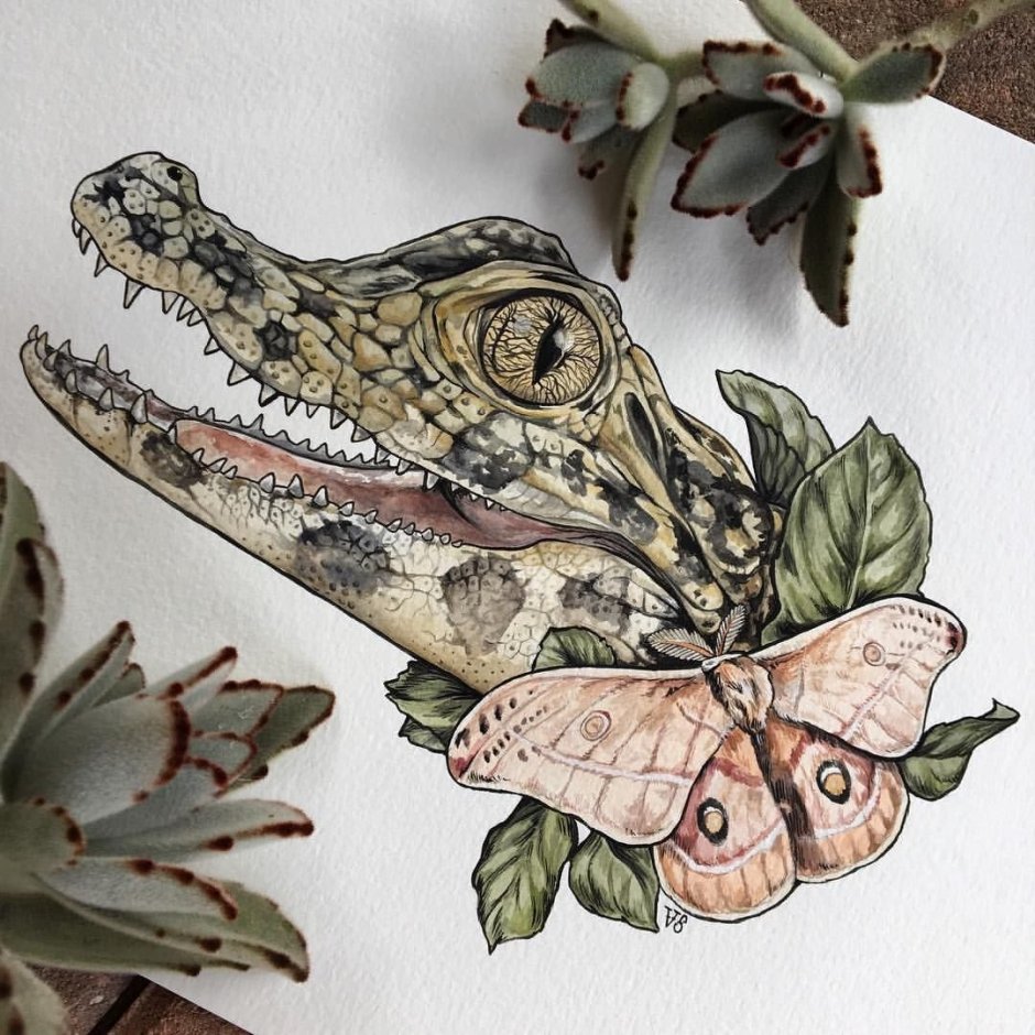 Крокодил художник