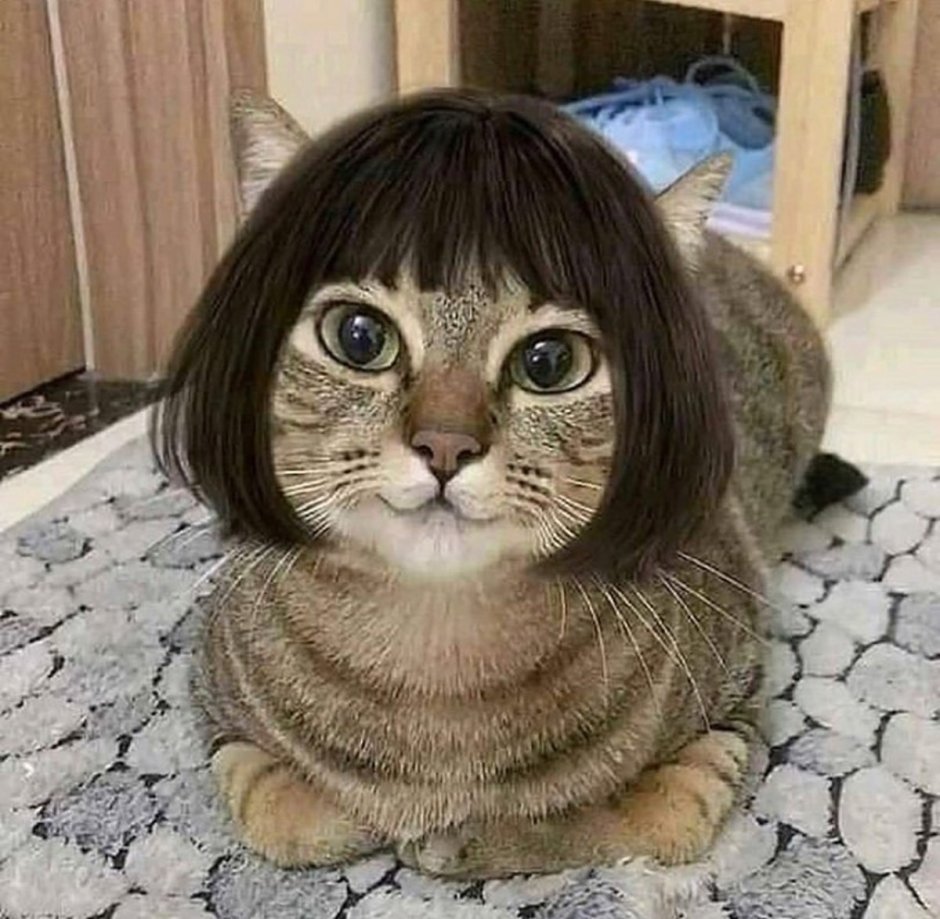 Котенок лежит в траве