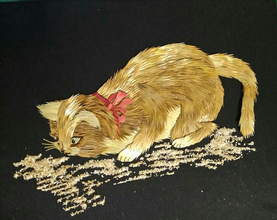 Кот нюхает цветы