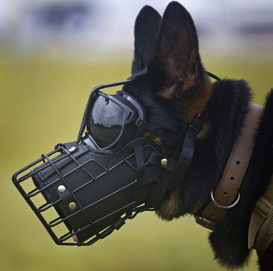 K-9 Unit