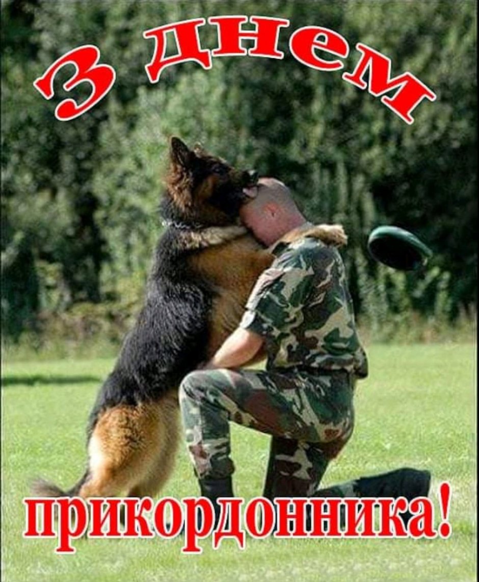 Пограничная собака